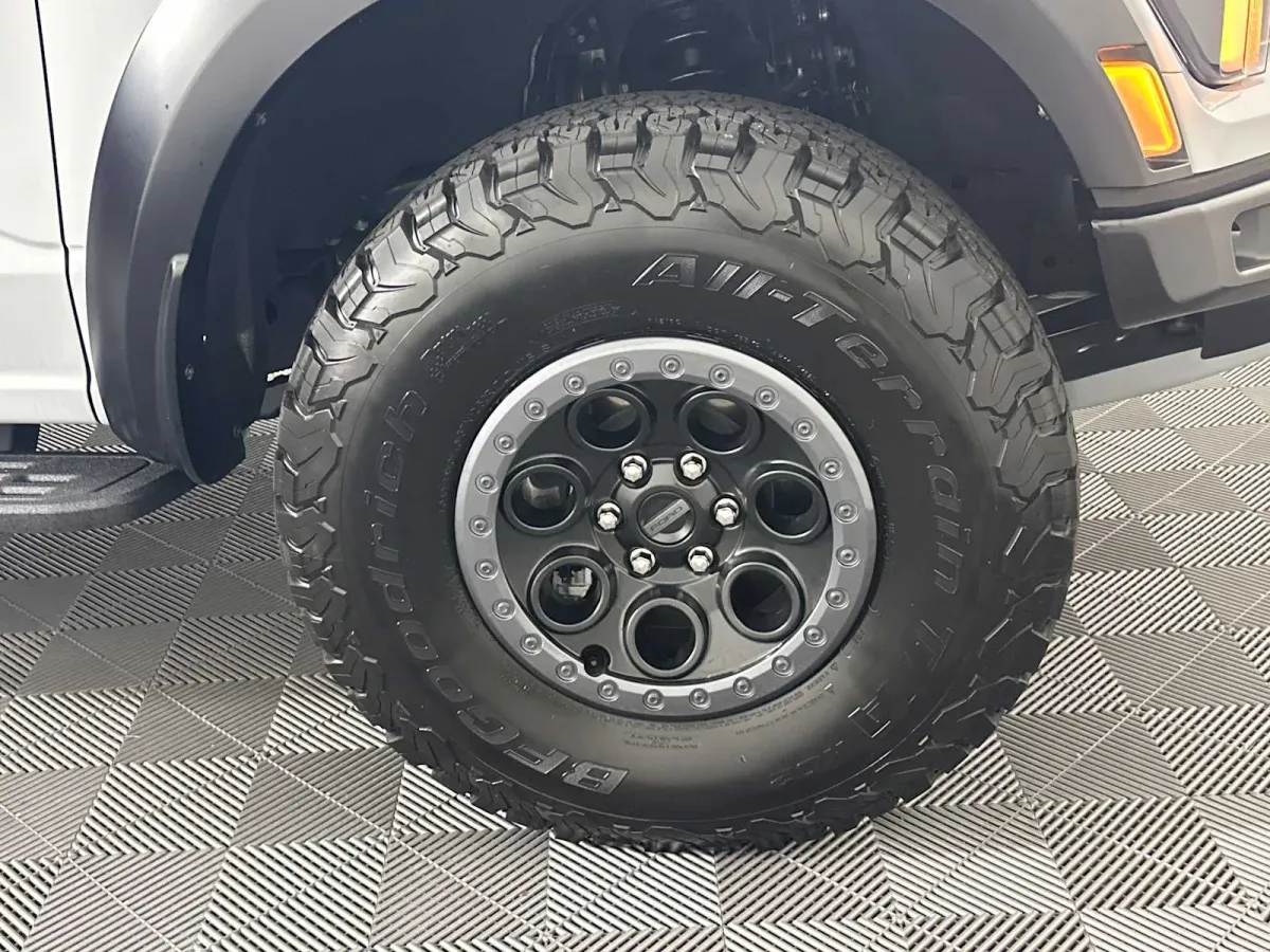 2025 Ford F-150 Raptor thumbnail 20