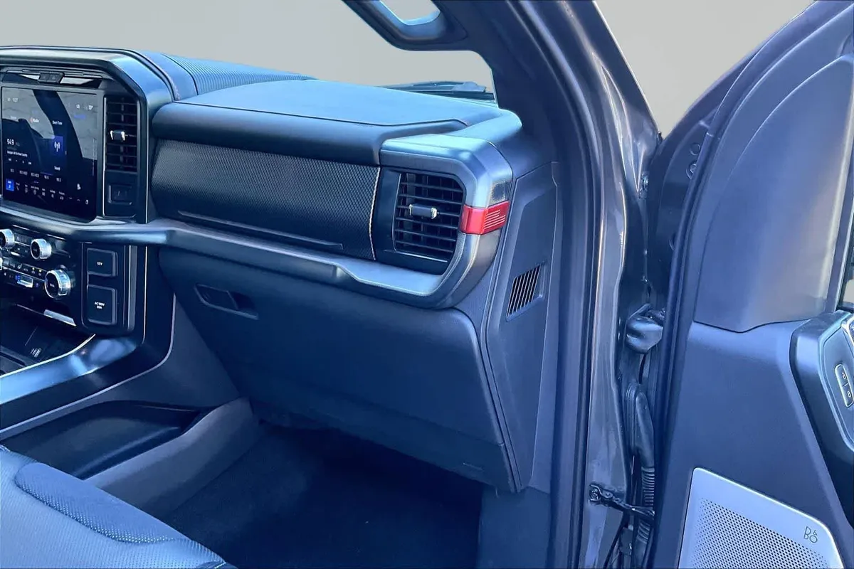 2025 Ford F-150 Raptor thumbnail 19