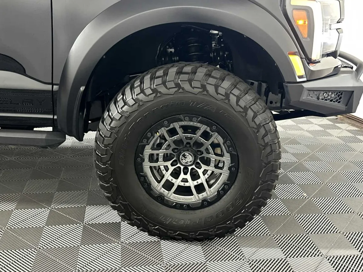 2025 Ford F-150 Raptor thumbnail 18