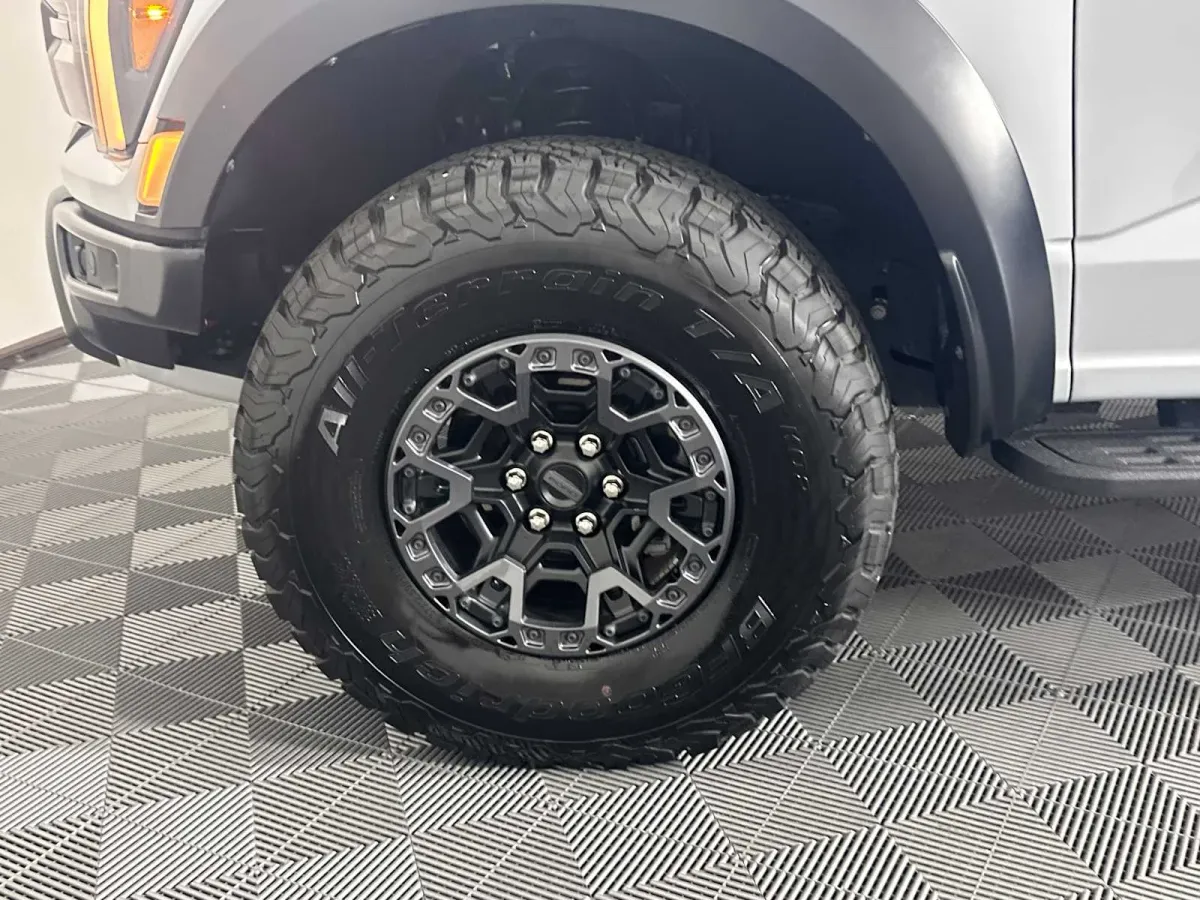 2025 Ford F-150 Raptor thumbnail 17
