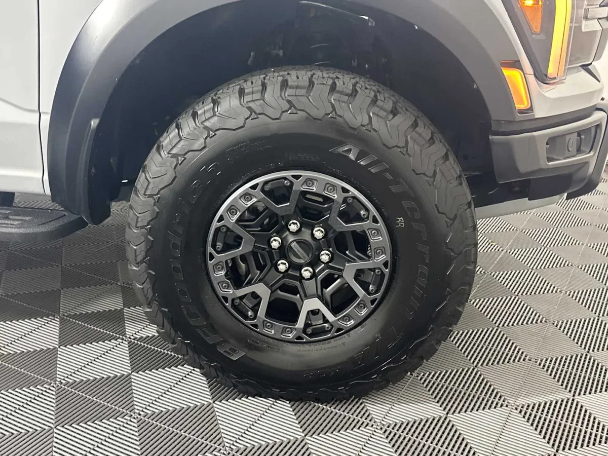 2025 Ford F-150 Raptor thumbnail 19