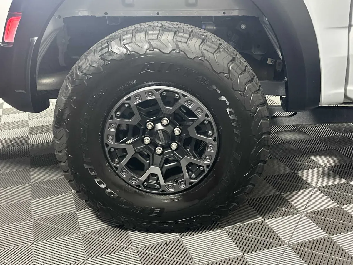 2025 Ford F-150 Raptor thumbnail 25