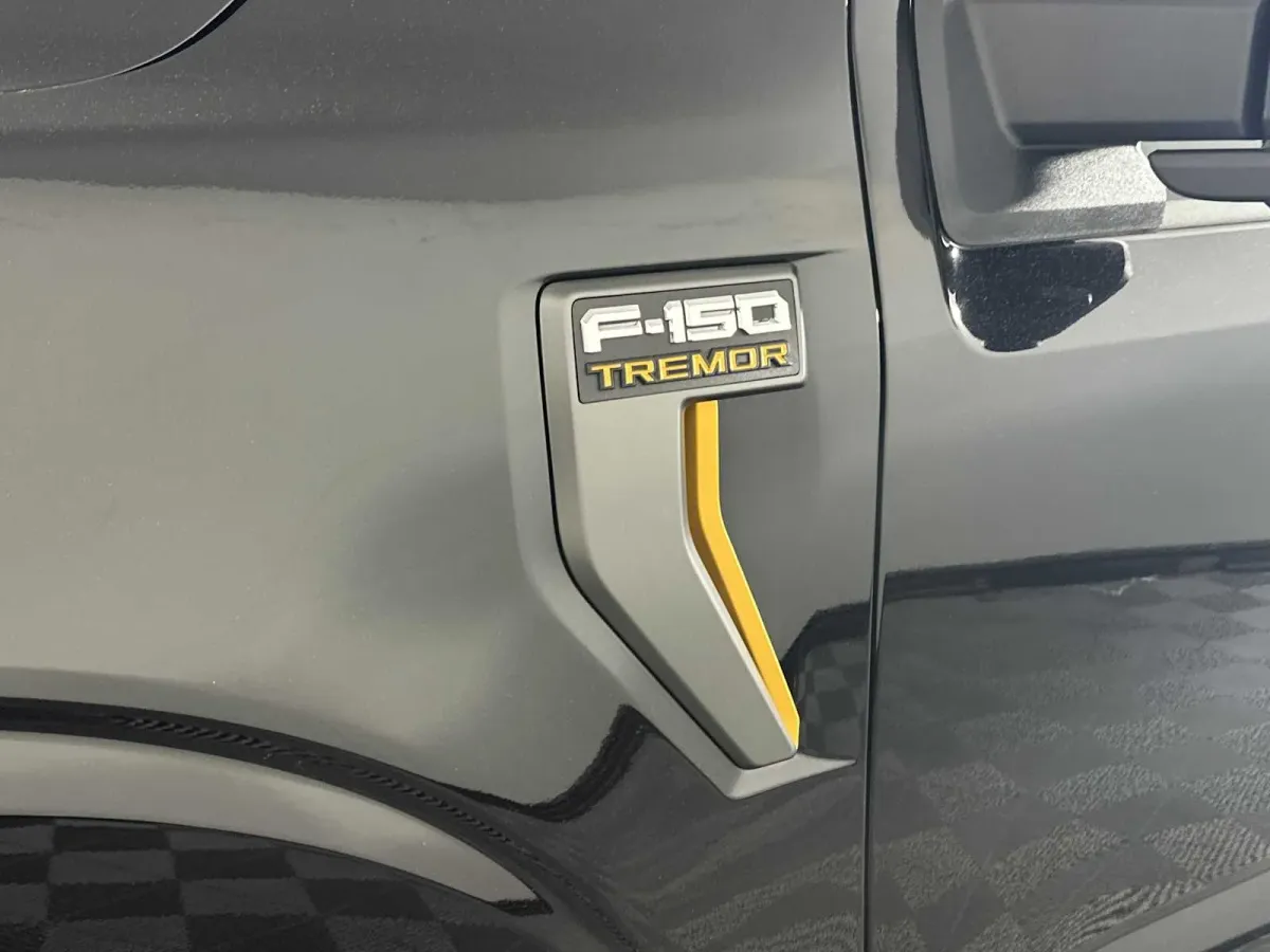 2025 Ford F-150 Tremor thumbnail 14