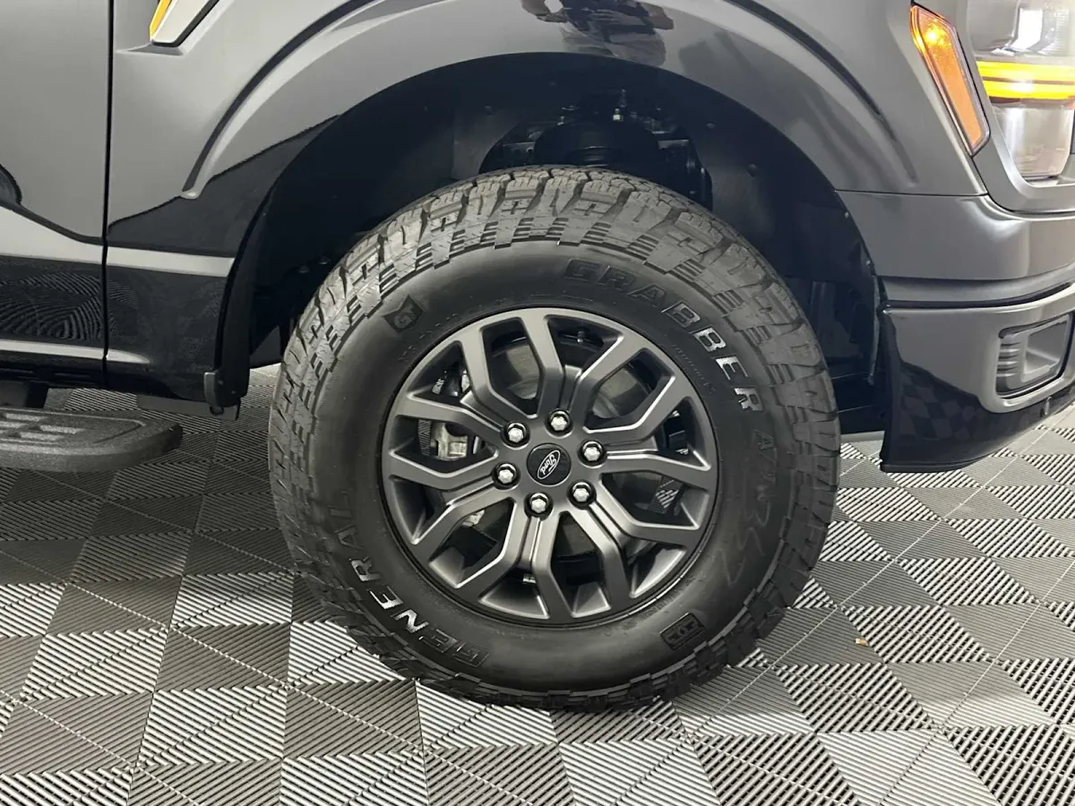 2025 Ford F-150 Tremor thumbnail 16