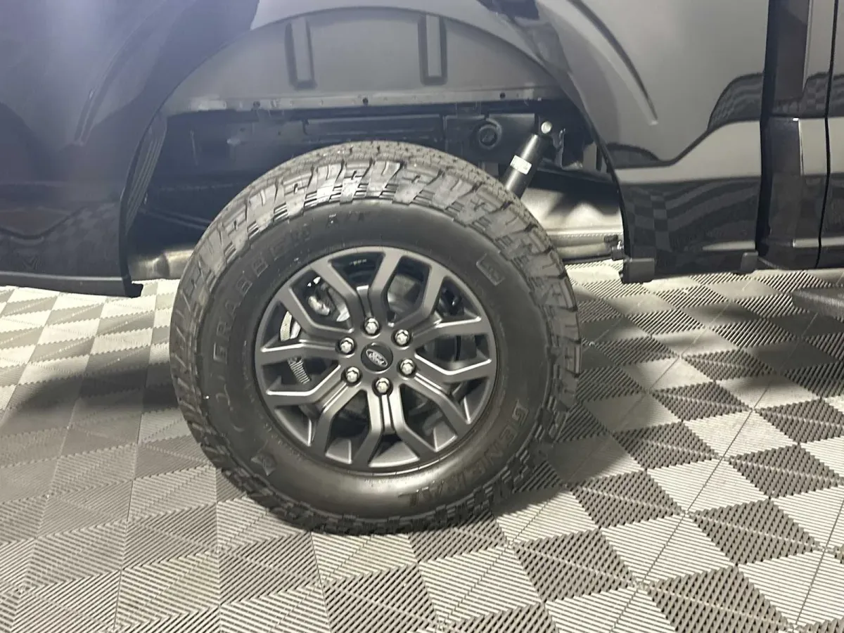 2025 Ford F-150 Tremor thumbnail 23