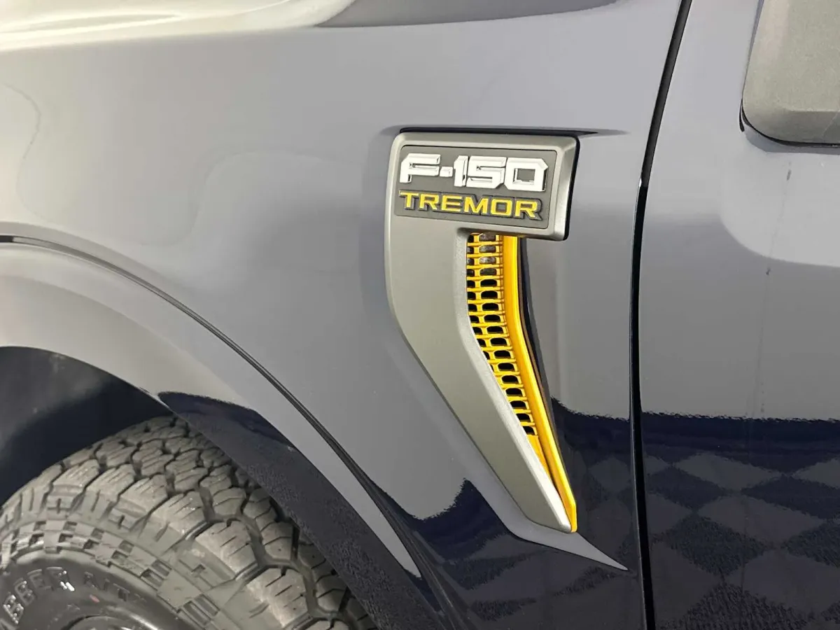 2025 Ford F-150 Tremor thumbnail 17