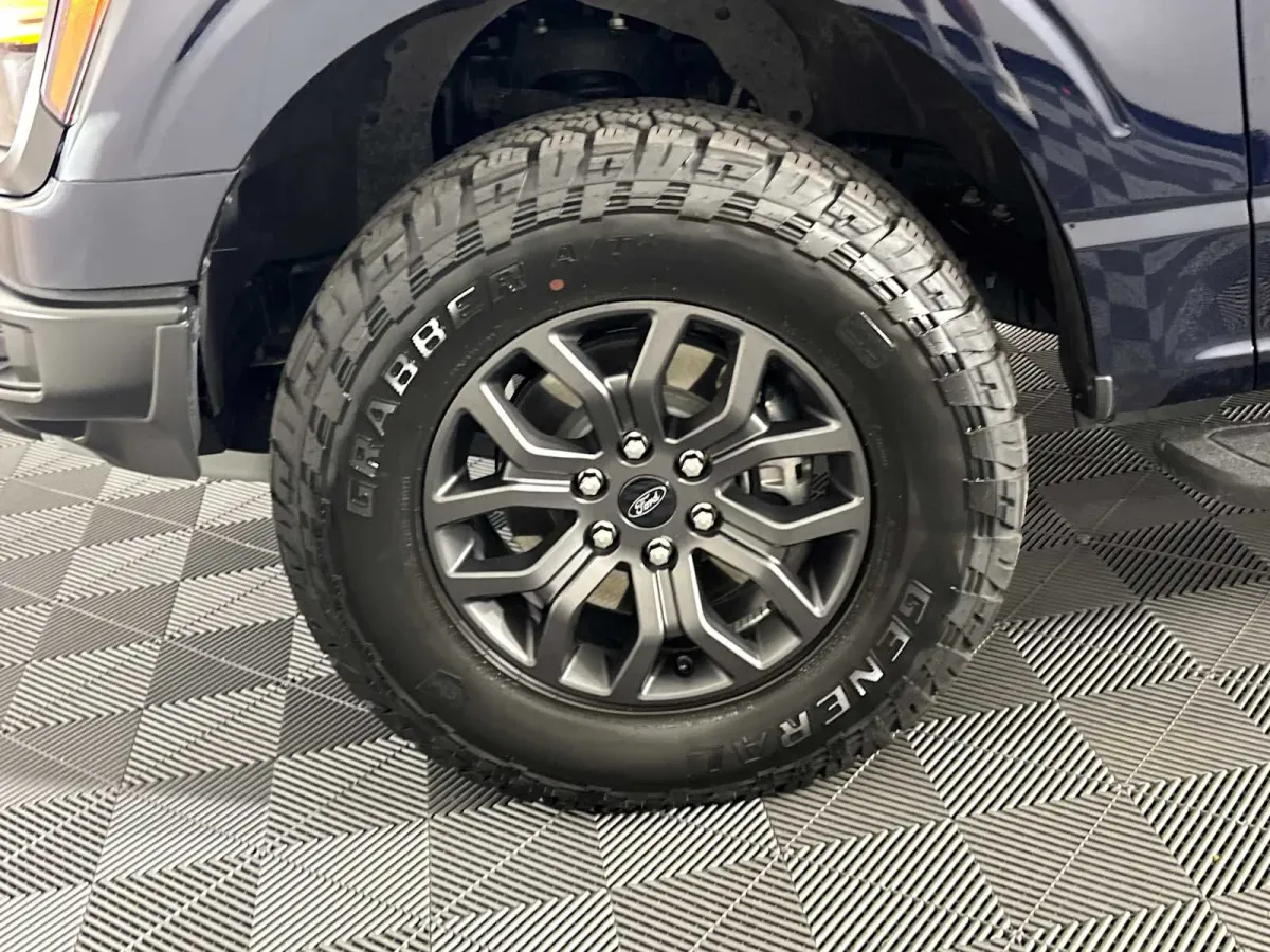 2025 Ford F-150 Tremor thumbnail 18
