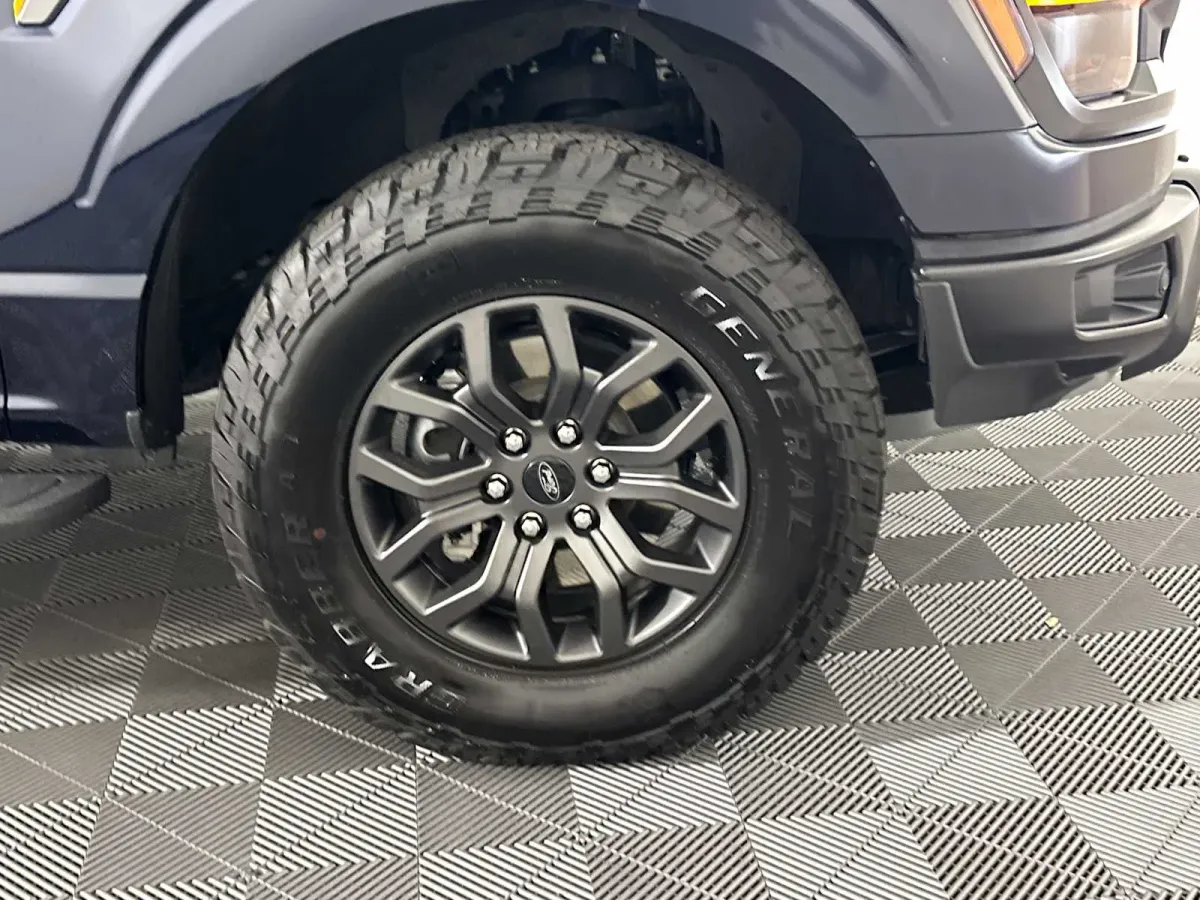 2025 Ford F-150 Tremor thumbnail 20
