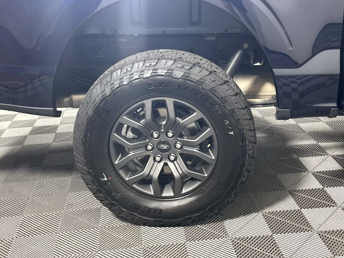 2025 Ford F-150 Tremor thumbnail 27