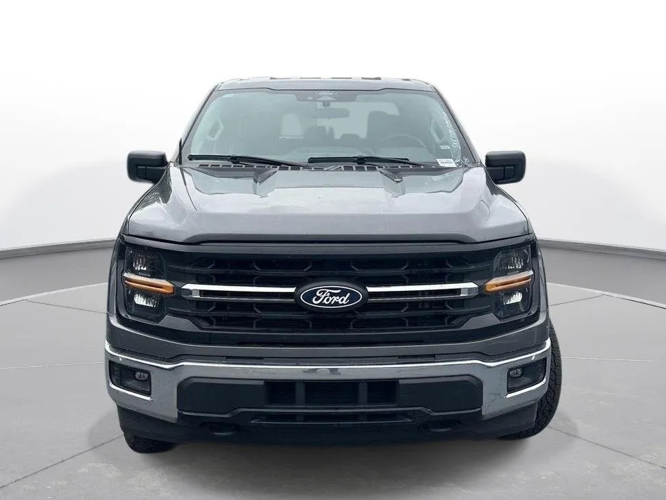 2025 Ford F-150 XLT thumbnail 3