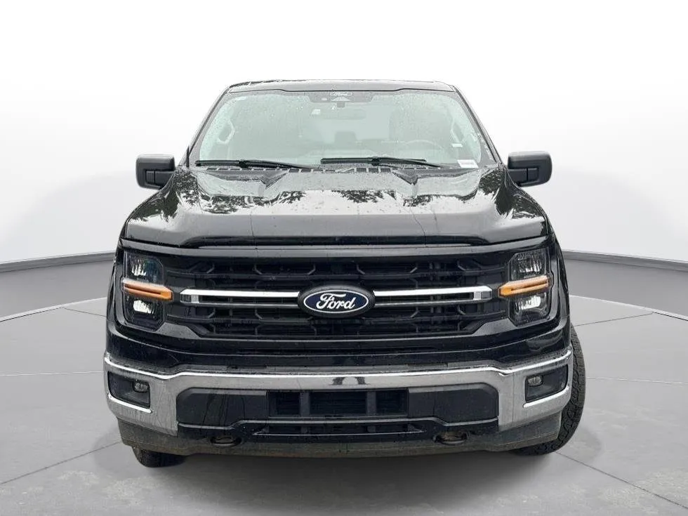 2025 Ford F-150 XLT thumbnail 3