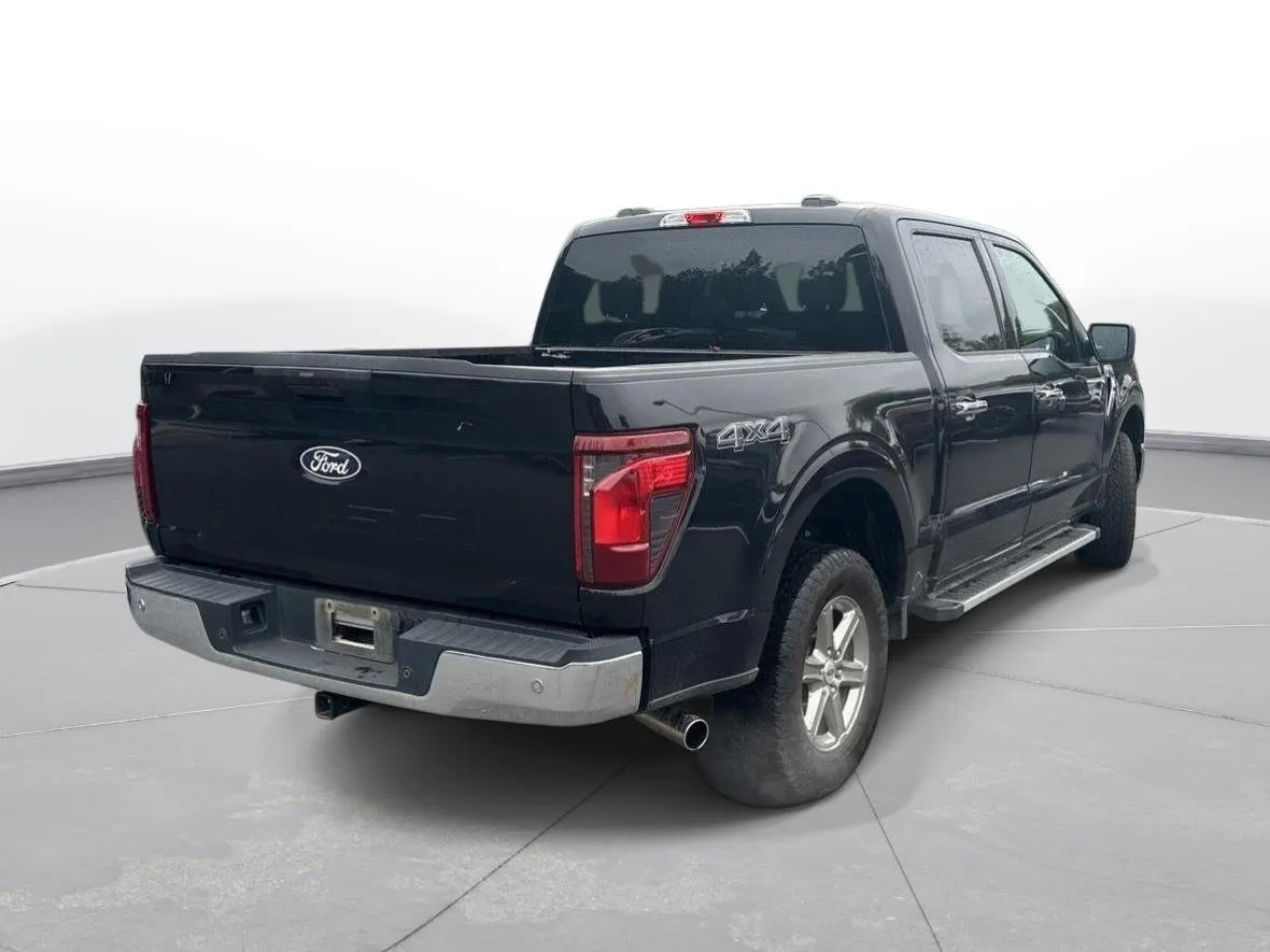 2025 Ford F-150 XLT thumbnail 6
