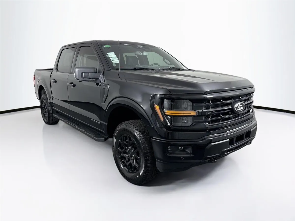 2025 Ford F-150 XLT thumbnail 10