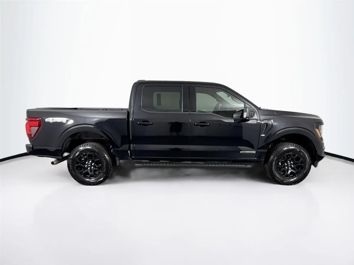 2025 Ford F-150 XLT thumbnail 11