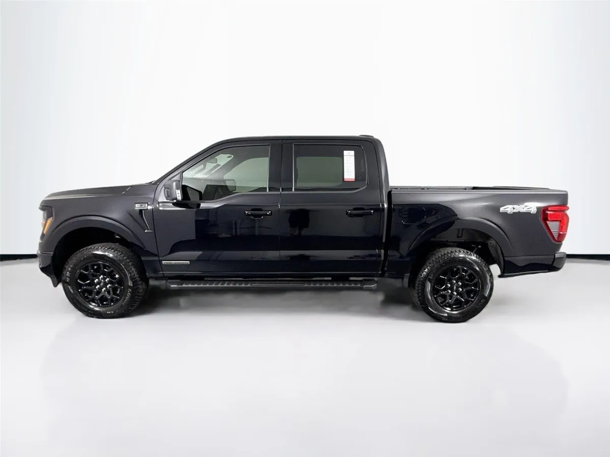 2025 Ford F-150 XLT thumbnail 14