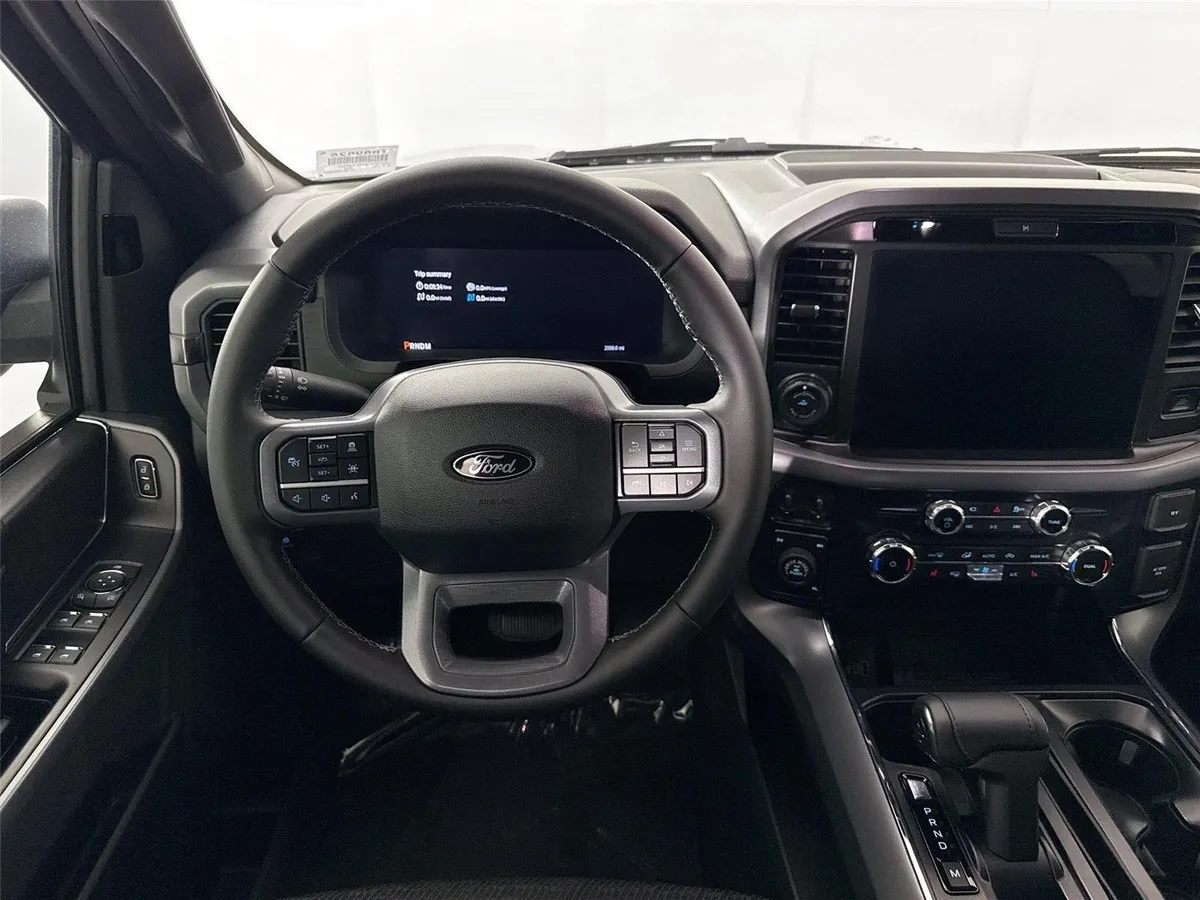 2025 Ford F-150 XLT thumbnail 30