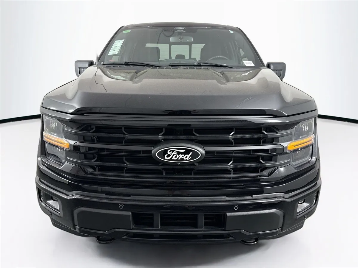 2025 Ford F-150 XLT thumbnail 9