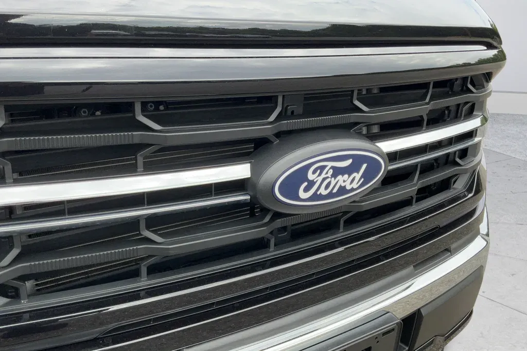 2025 Ford F-150 XLT thumbnail 31