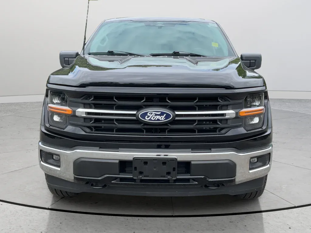2025 Ford F-150 XLT thumbnail 4