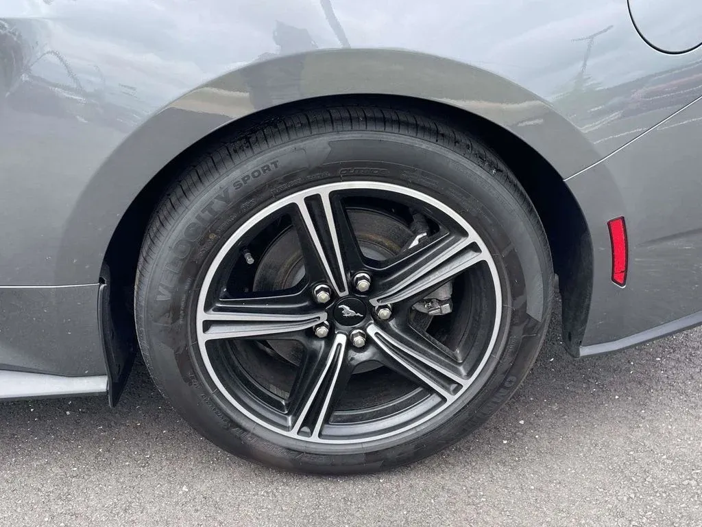 2025 Ford Mustang EcoBoost Premium thumbnail 26