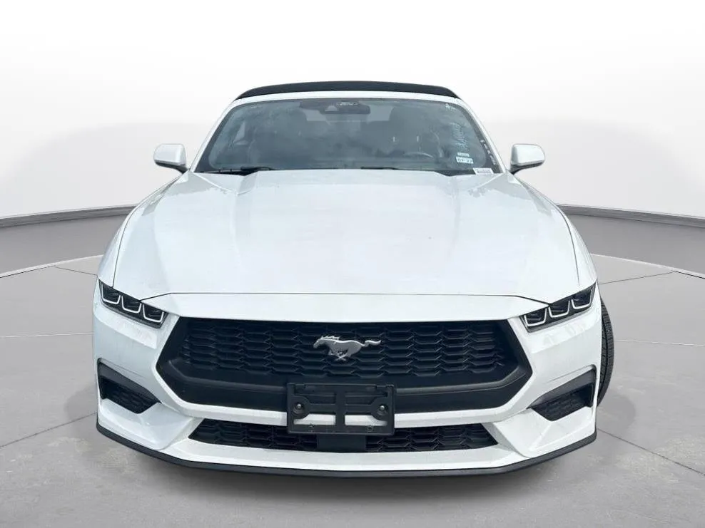 2025 Ford Mustang EcoBoost Premium thumbnail 3