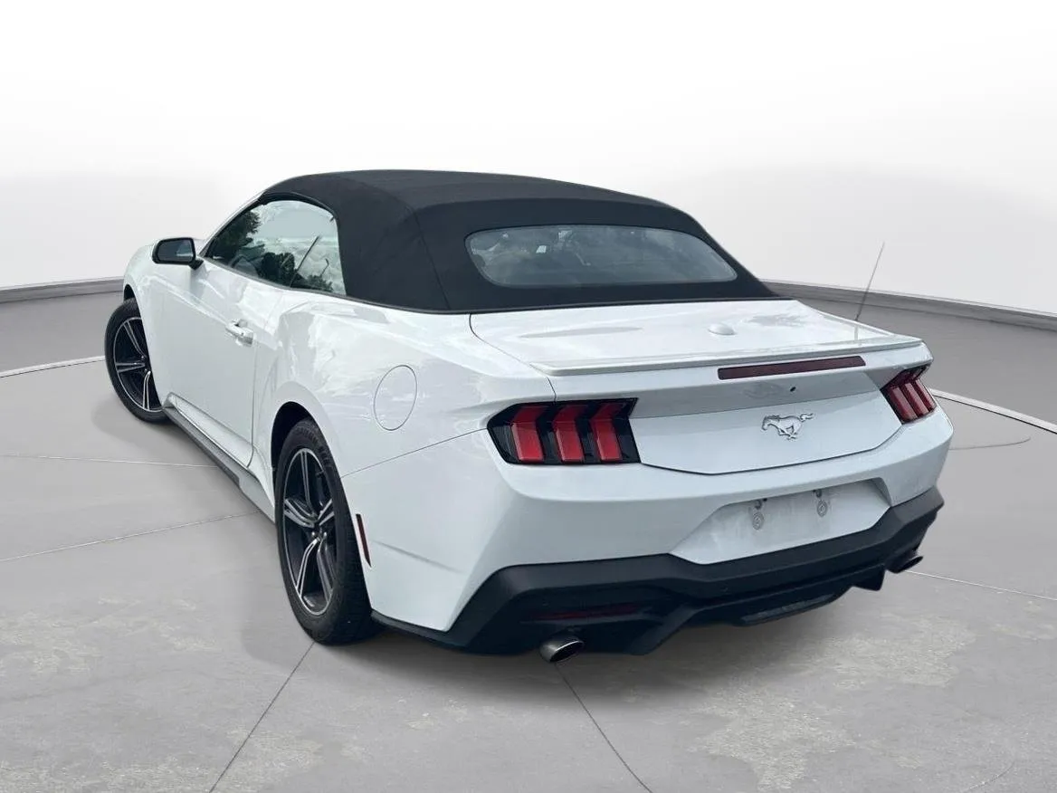 2025 Ford Mustang EcoBoost Premium thumbnail 8