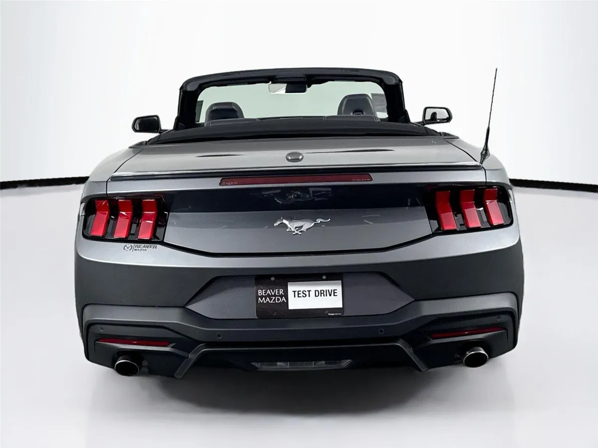 2025 Ford Mustang EcoBoost Premium thumbnail 15