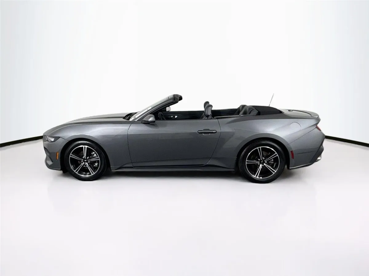 2025 Ford Mustang EcoBoost Premium thumbnail 16