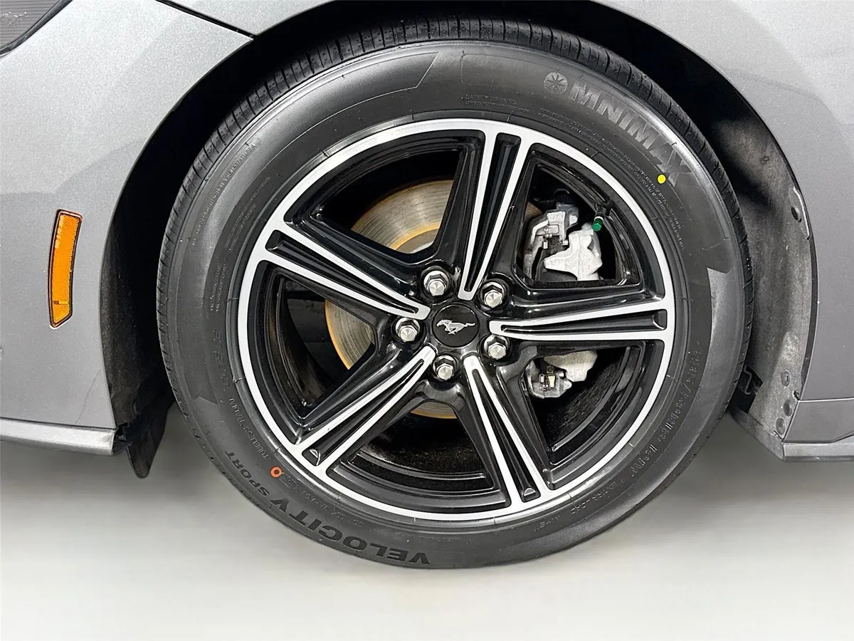 2025 Ford Mustang EcoBoost Premium thumbnail 44