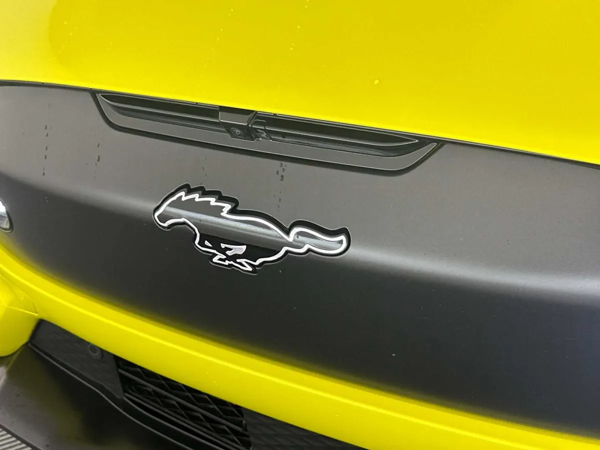 2025 Ford Mustang Mach-E GT thumbnail 18