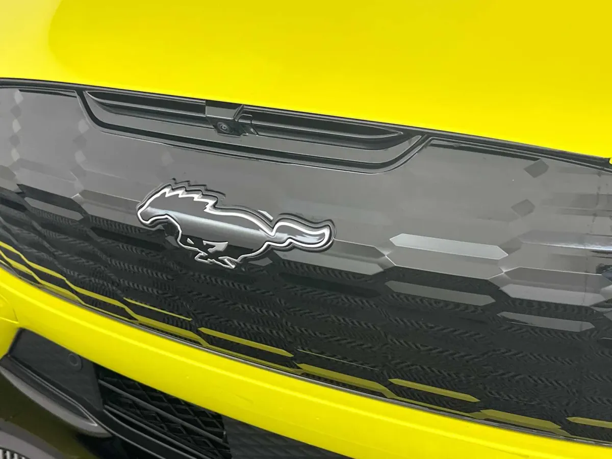 2025 Ford Mustang Mach-E Premium thumbnail 14