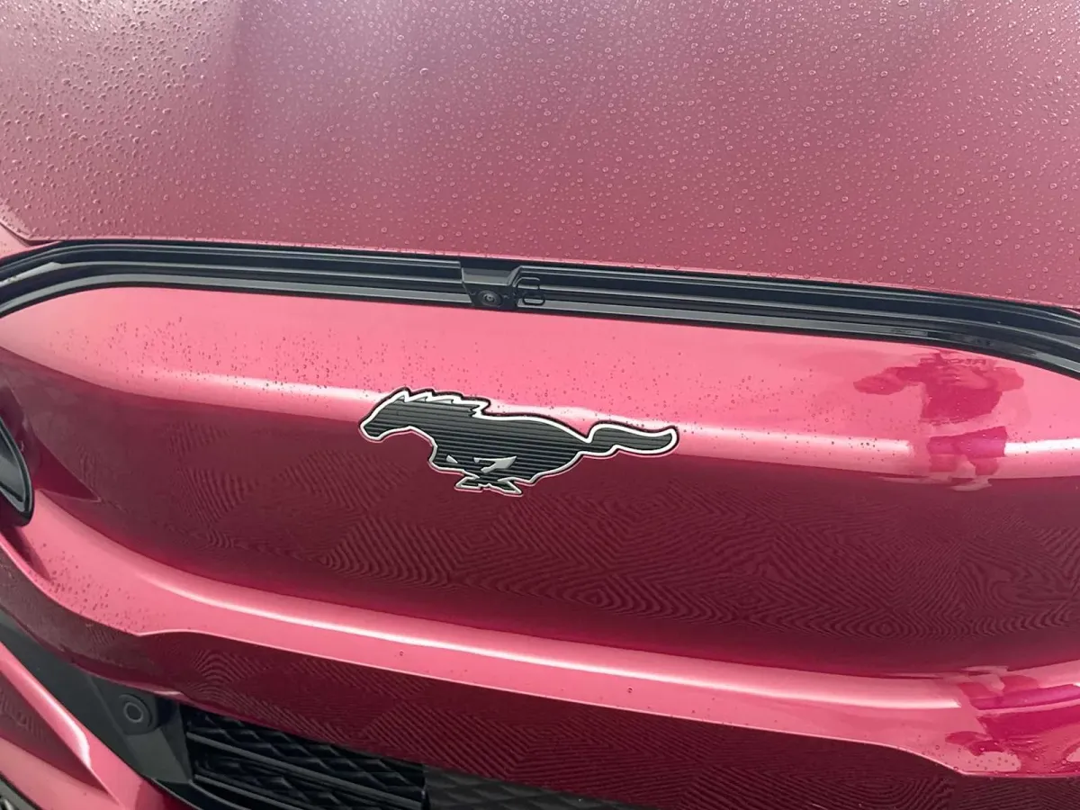 2025 Ford Mustang Mach-E Premium thumbnail 20