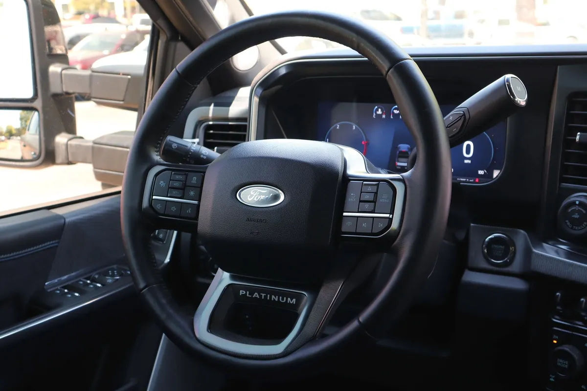 2025 Ford Super Duty F-250 SRW Platinum thumbnail 18