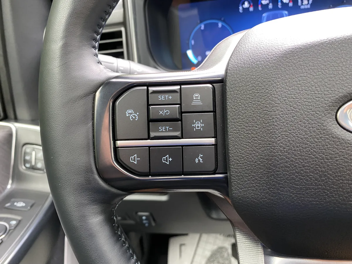 2025 Ford Super Duty F-450 DRW Platinum thumbnail 19