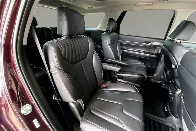 2025 Hyundai Palisade Limited thumbnail 20