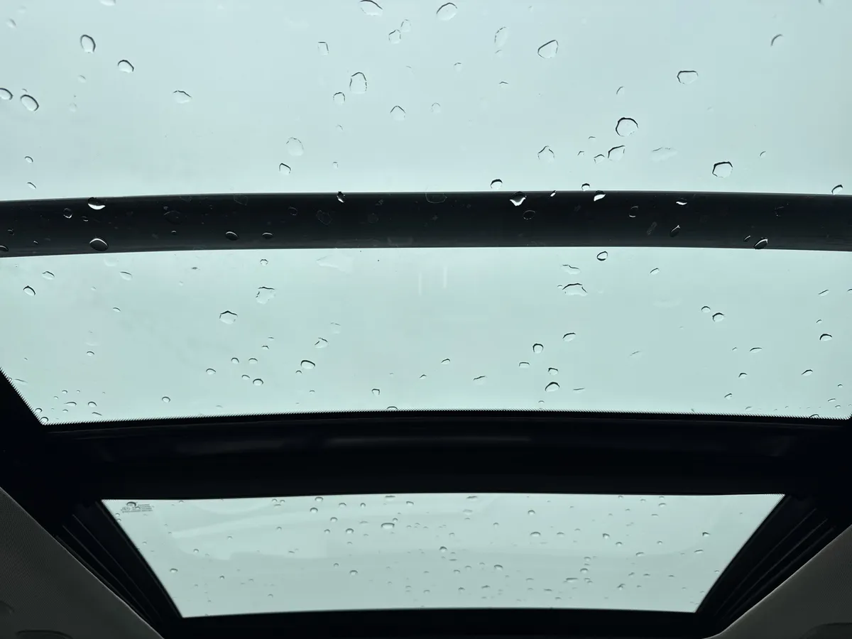 2025 INFINITI QX80 SENSORY thumbnail 26