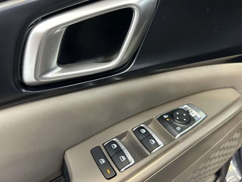 2025 Kia Carnival LXS thumbnail 17