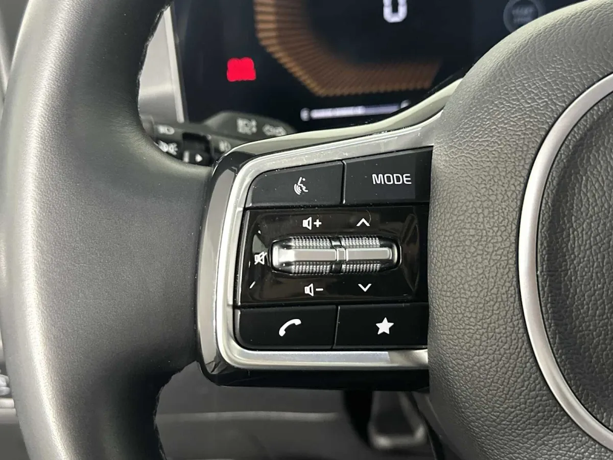 2025 Kia Sorento EX thumbnail 29