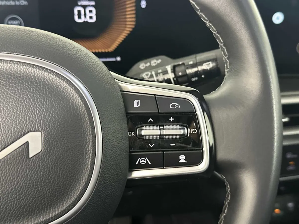2025 Kia Sorento EX thumbnail 30