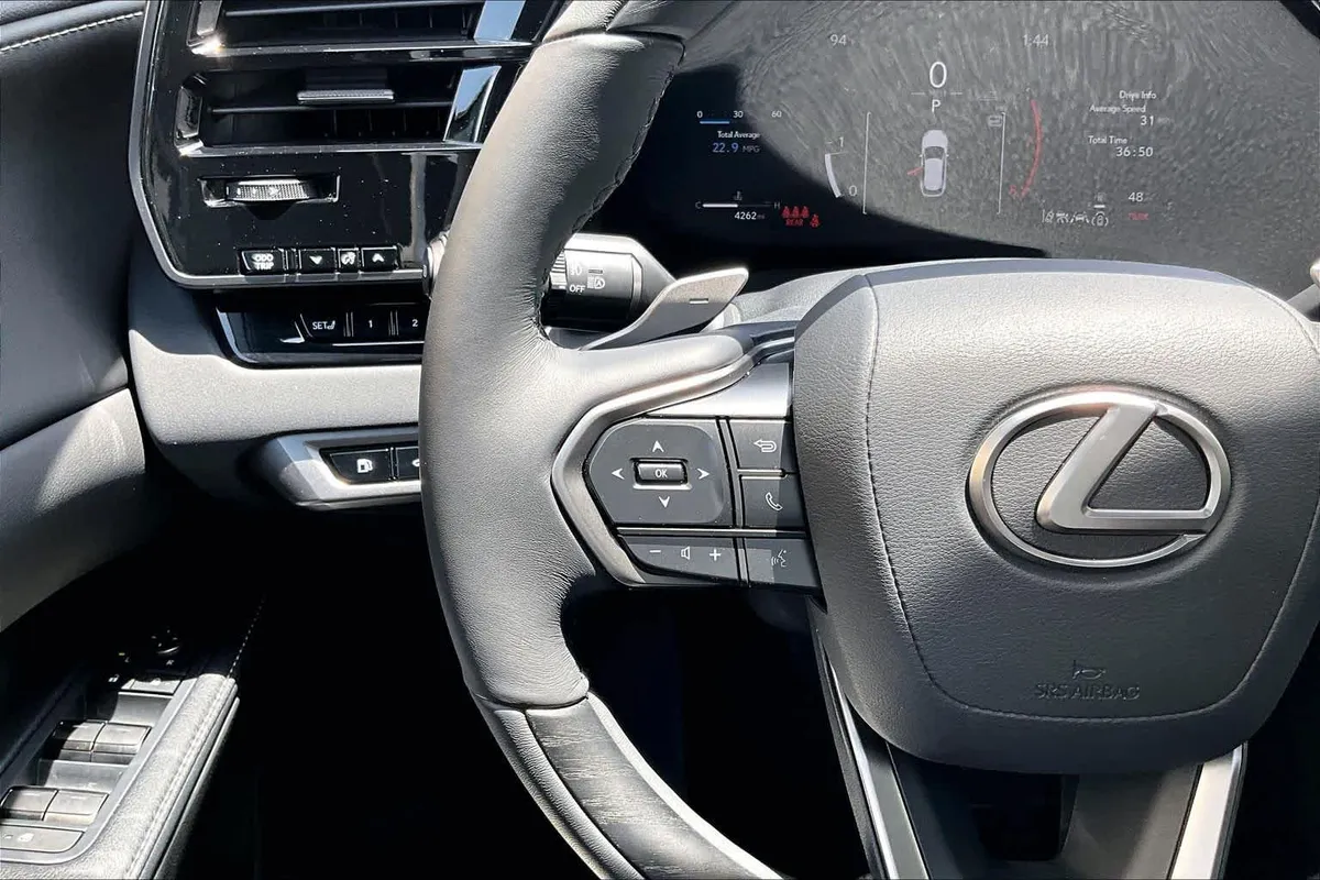 2025 Lexus RX 350 Premium thumbnail 24