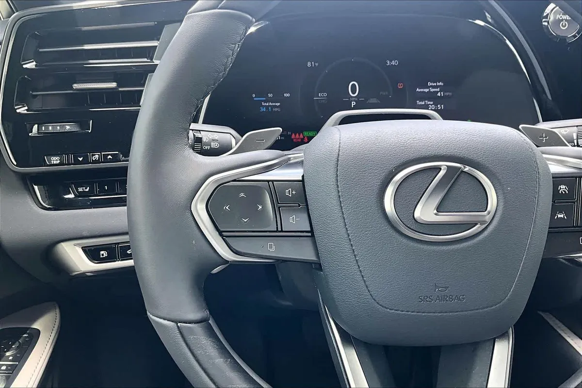 2025 Lexus RX 350h Premium Plus thumbnail 24