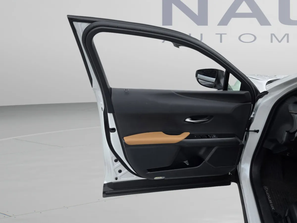 2025 LEXUS UX 300h thumbnail 10