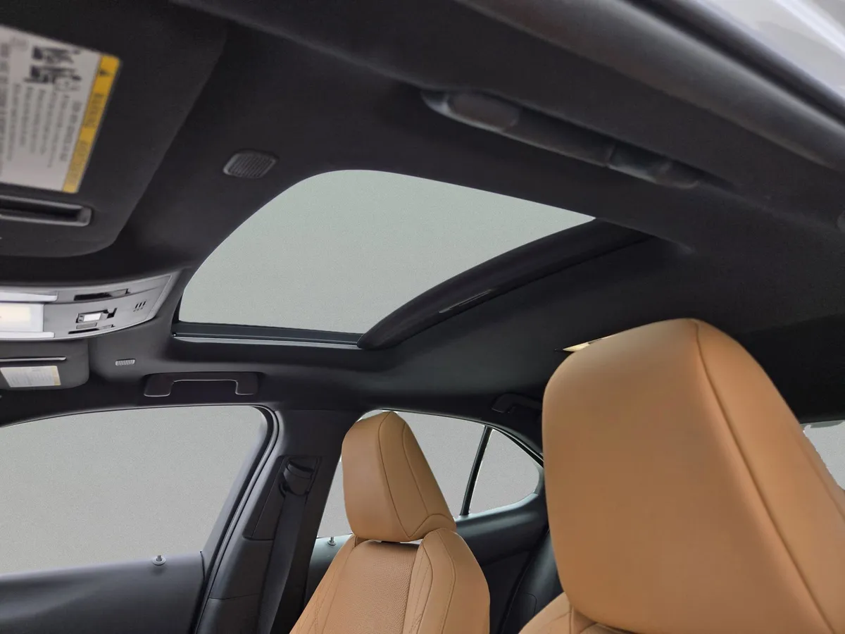 2025 LEXUS UX 300h thumbnail 15