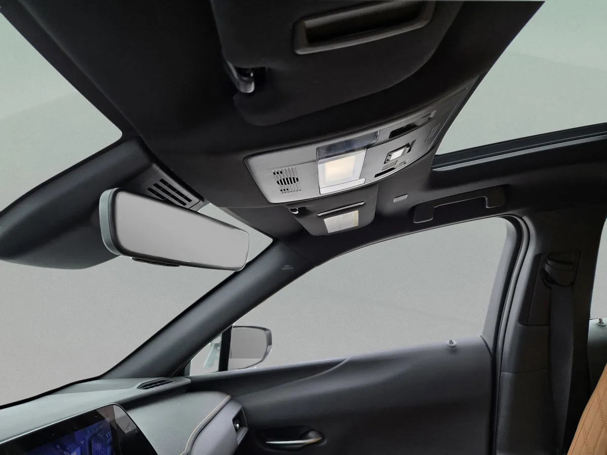 2025 LEXUS UX 300h thumbnail 16