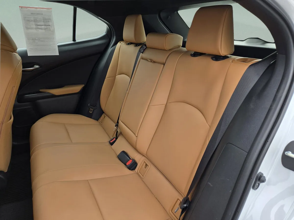 2025 LEXUS UX 300h thumbnail 22