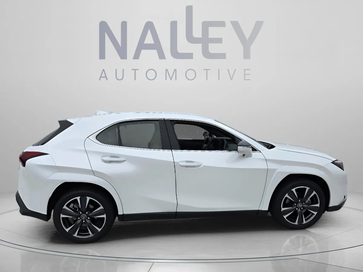 2025 LEXUS UX 300h thumbnail 6