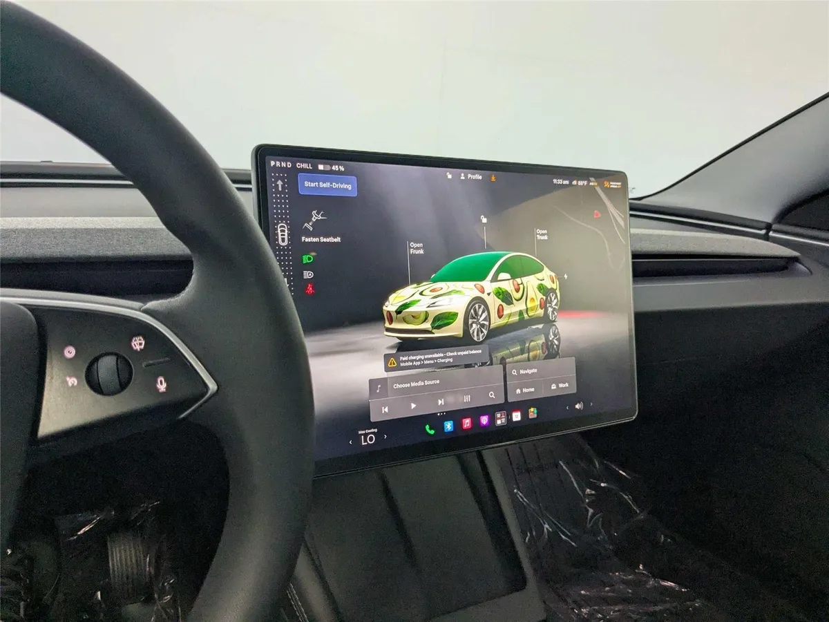2025 TESLA MODEL 3 thumbnail 19