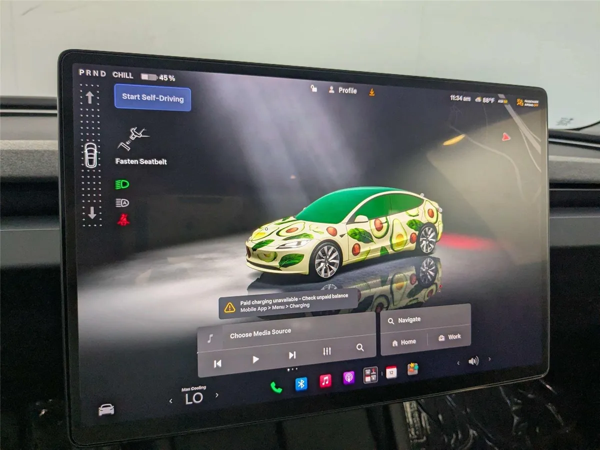 2025 TESLA MODEL 3 thumbnail 20