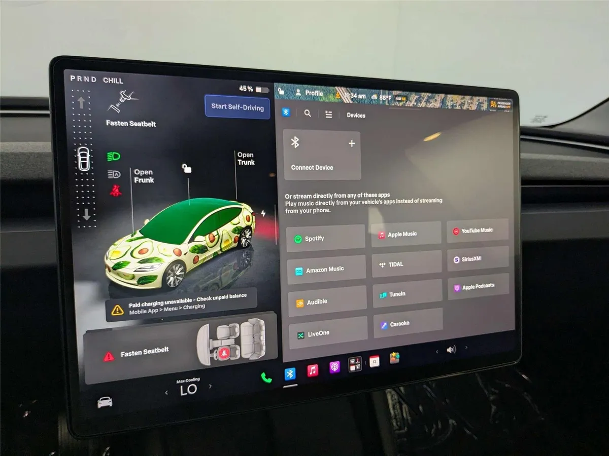 2025 TESLA MODEL 3 thumbnail 23
