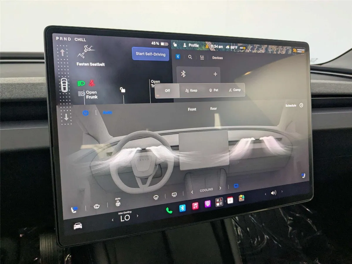 2025 TESLA MODEL 3 thumbnail 24